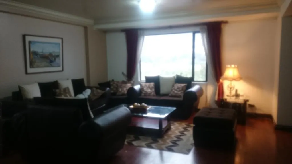Luxury Apartment La Carolina Quito